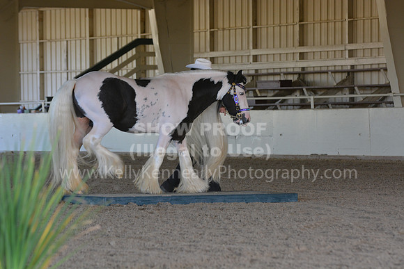 MLMH18_0736