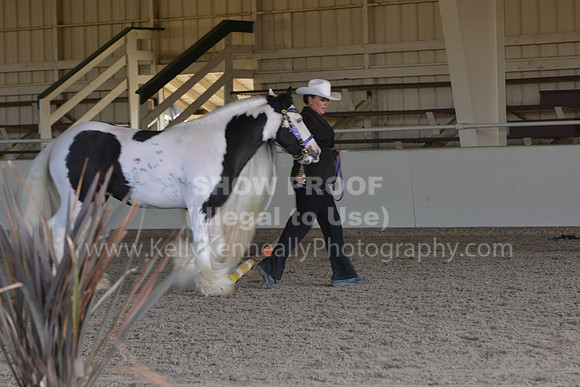 MLMH18_0737