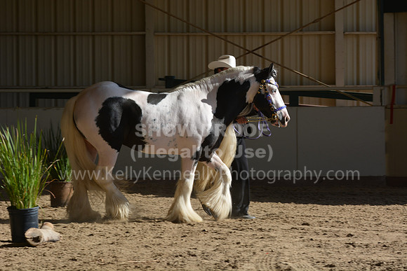 MLMH18_0738