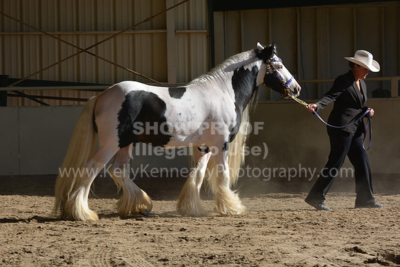 MLMH18_0739