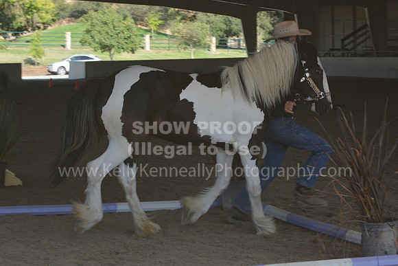 MLMH18_0740