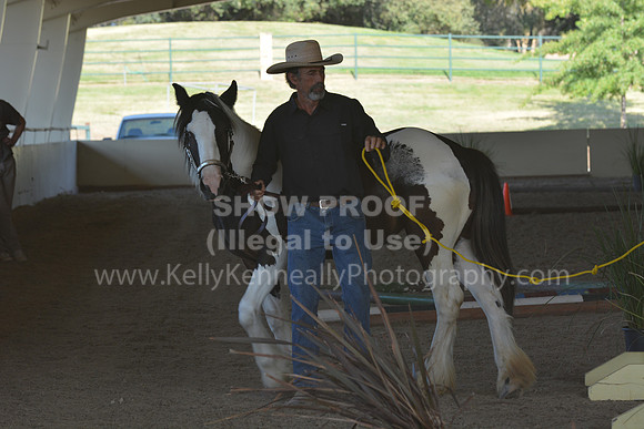 MLMH18_0743