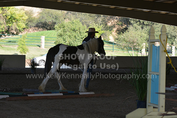 MLMH18_0745