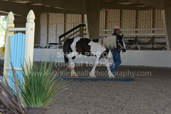 MLMH18_0746