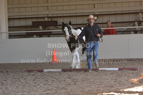 MLMH18_0749
