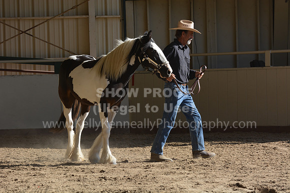 MLMH18_0750