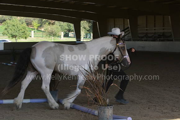 MLMH18_0752
