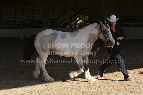 MLMH18_0753