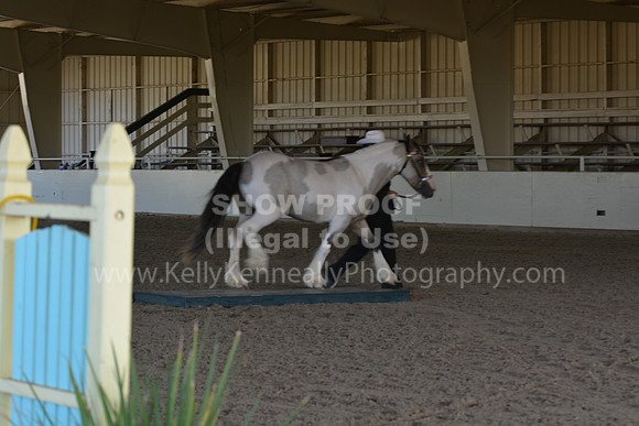 MLMH18_0758
