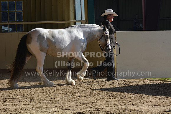 MLMH18_0761