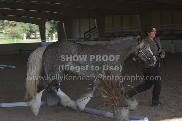 MLMH18_0762