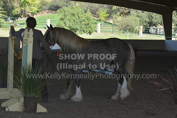 MLMH18_0763