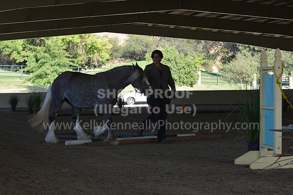 MLMH18_0764