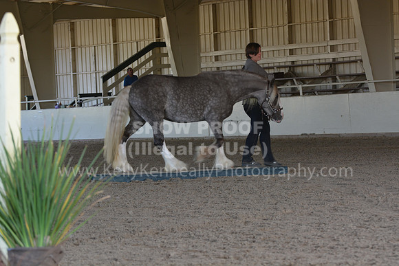 MLMH18_0765