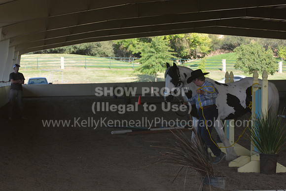 MLMH18_0768