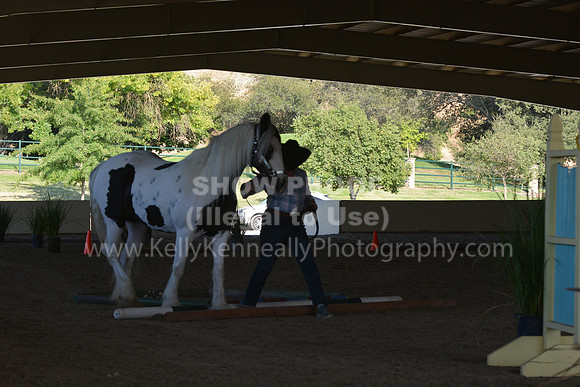 MLMH18_0769