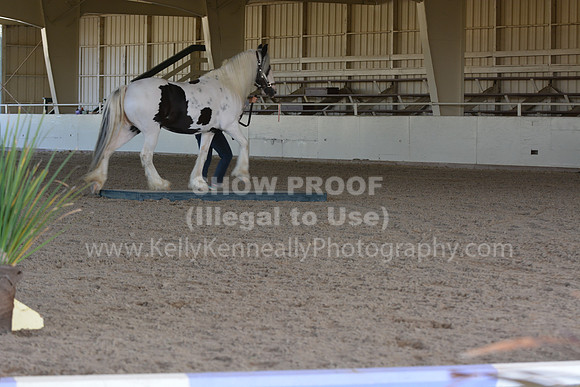 MLMH18_0770