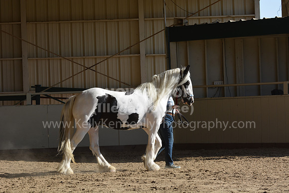 MLMH18_0773