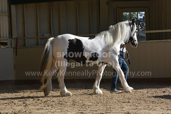 MLMH18_0774