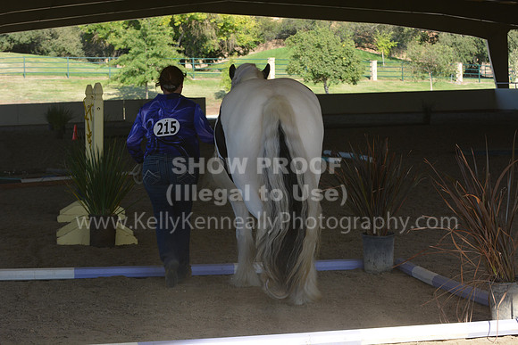 MLMH18_0776