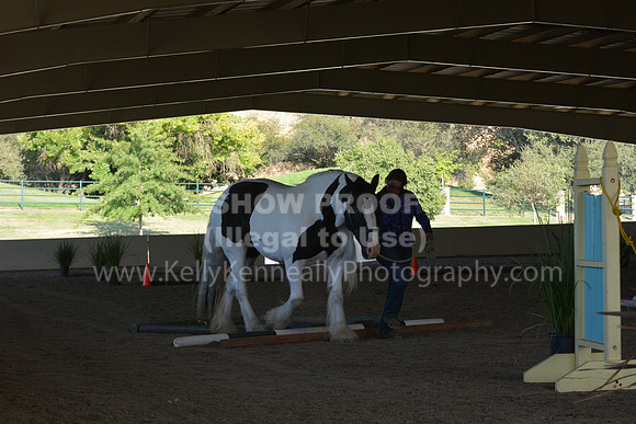 MLMH18_0778