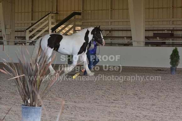 MLMH18_0780