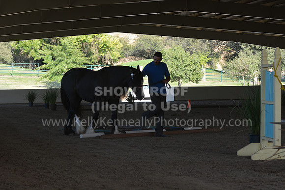 MLMH18_0795