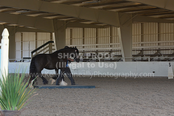MLMH18_0796