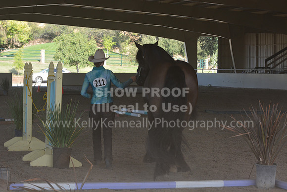 MLMH18_0798