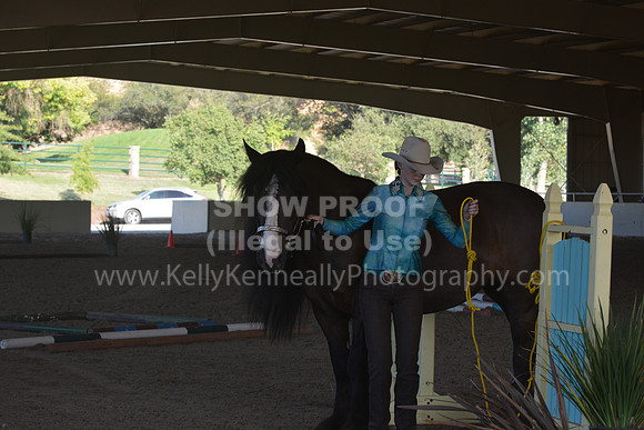 MLMH18_0799