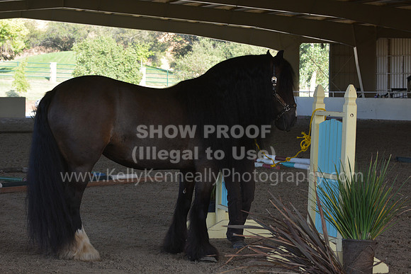 MLMH18_0800