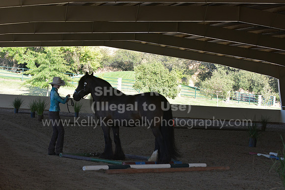 MLMH18_0802