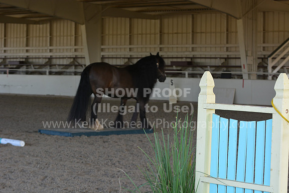 MLMH18_0804