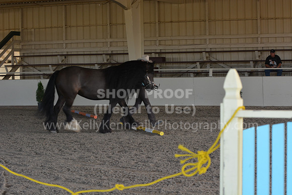 MLMH18_0805