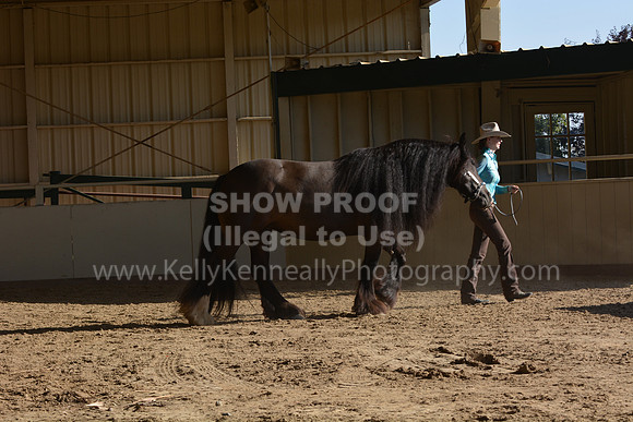 MLMH18_0806
