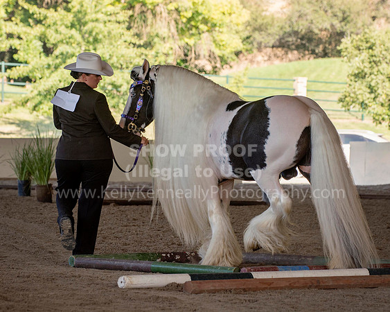MLMH18_0735