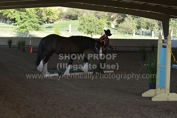 MLMH18_0809
