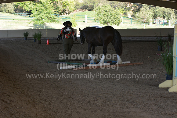 MLMH18_0810