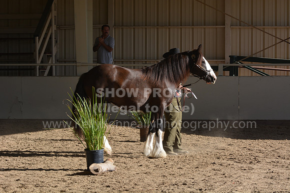 MLMH18_0814