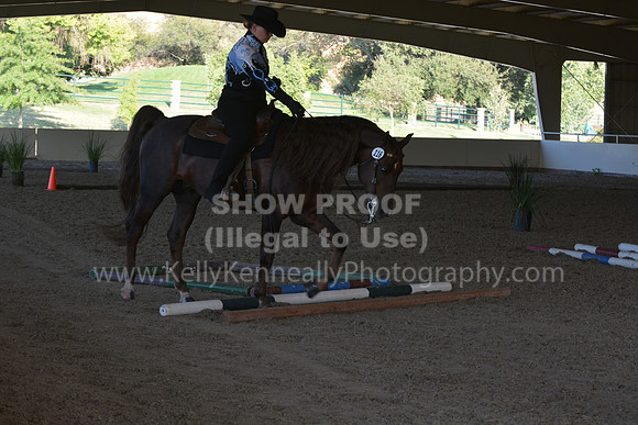 MLMH18_0846