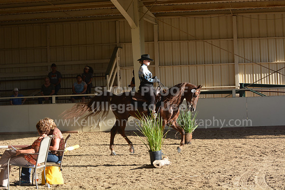 MLMH18_0849