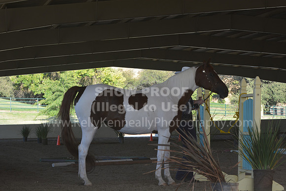 MLMH18_0853