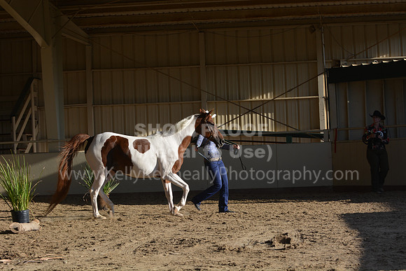 MLMH18_0856