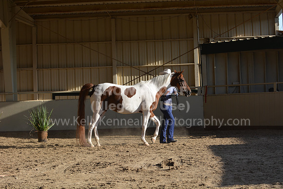 MLMH18_0857