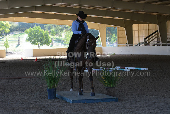 MLMH18_0869