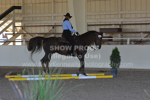 MLMH18_0875