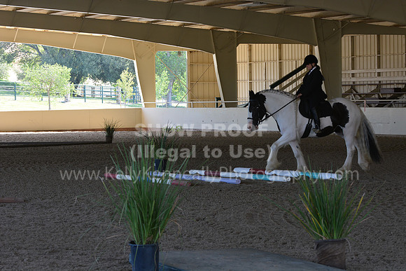 MLMH18_0881