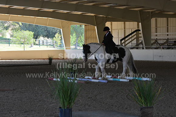 MLMH18_0883
