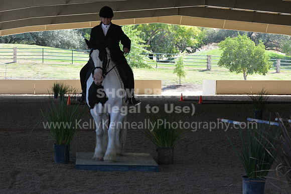 MLMH18_0886