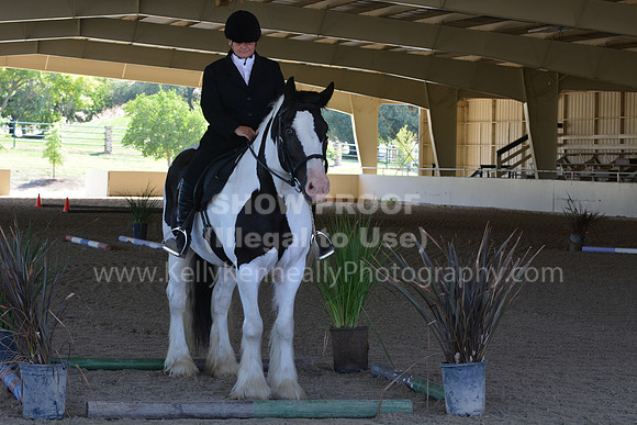 MLMH18_0888